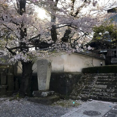 背景图