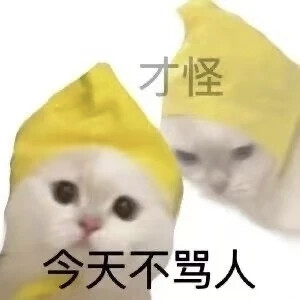 猫猫表情包