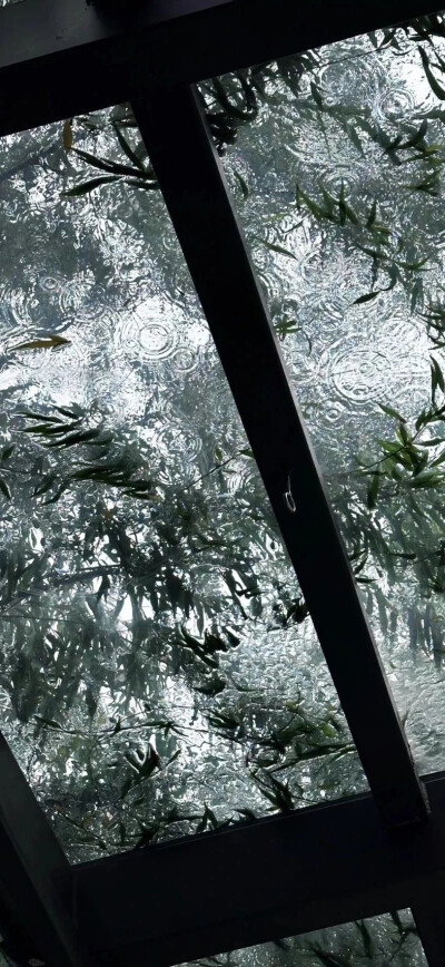 壁纸