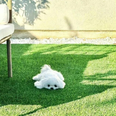 背景图