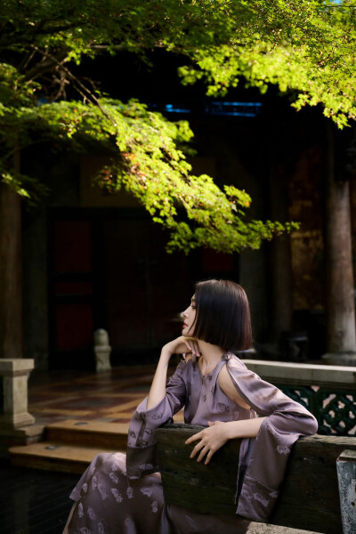 秦岚