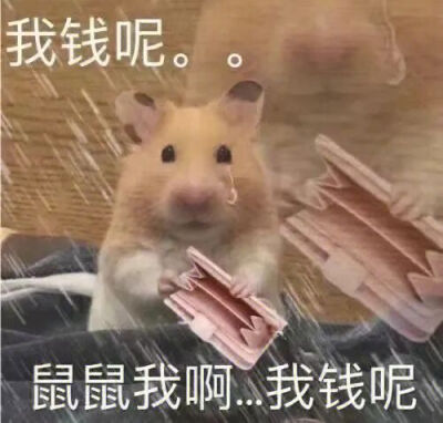 表情包