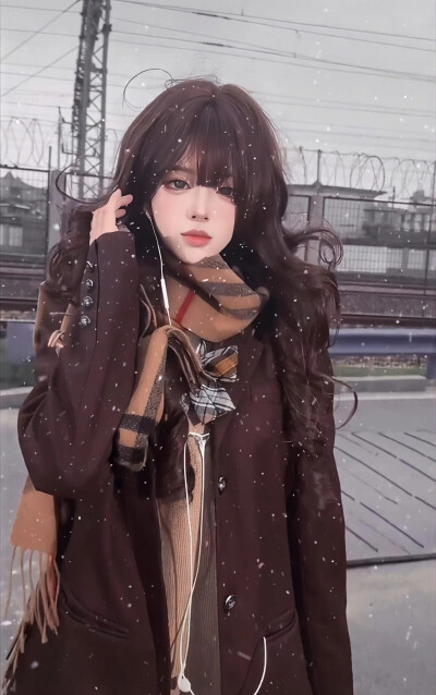 机智张