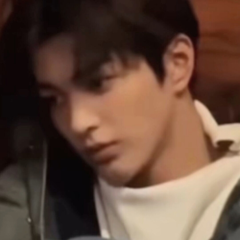 一个玩狐狸的大手子