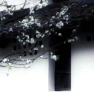 背景图