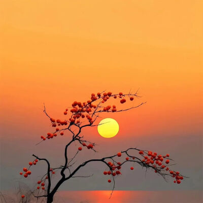 背景图