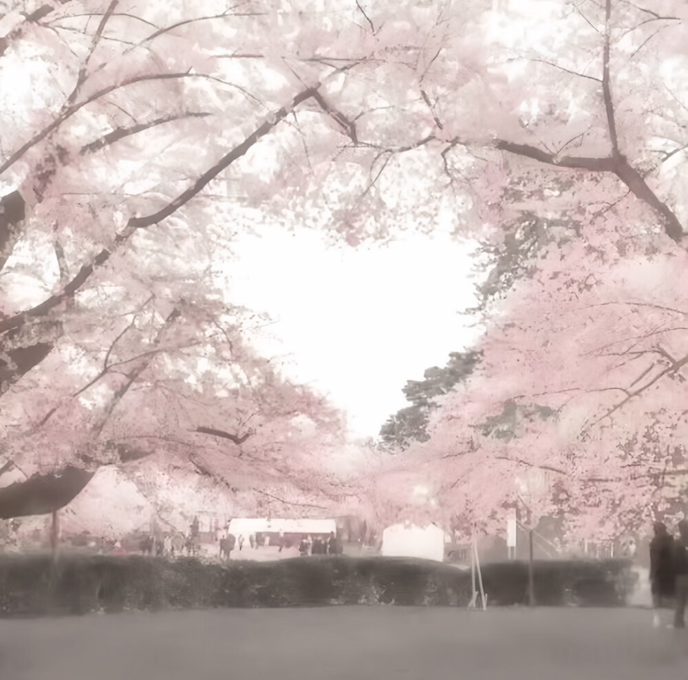 卢昱晓微调可二改 注明陈文嘉