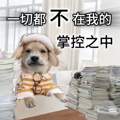 表情包