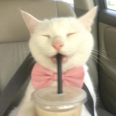 123