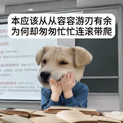 表情包