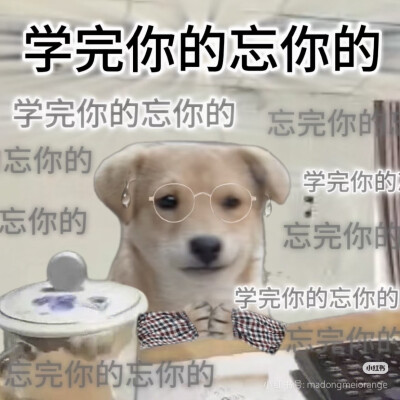 表情包