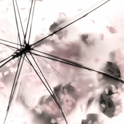 潘珺雅微调可二改 注明陈文嘉