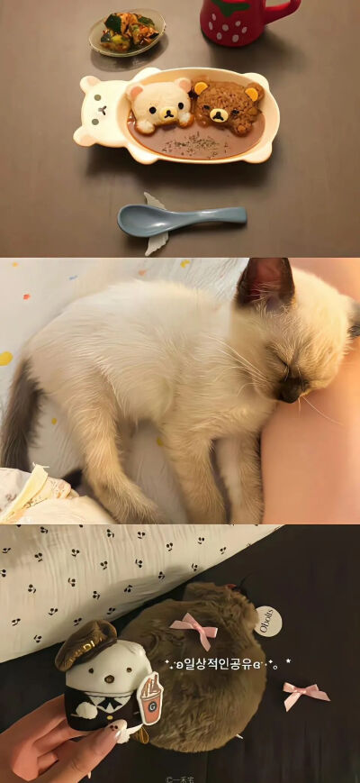 我是不会放弃收集这种图片的