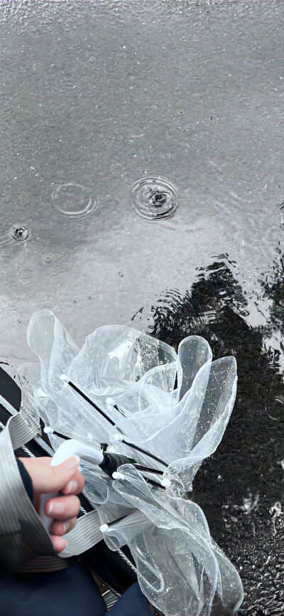 壁纸