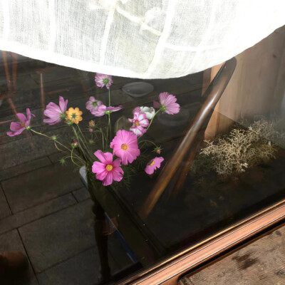 背景图