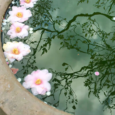 背景图