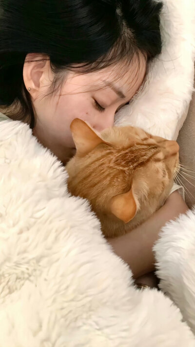 南笙北路，浪迹天涯。