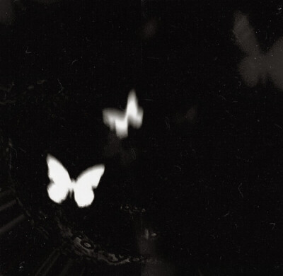 我是摩尔曼斯克，你是来自于大西洋的暖流，因为你的存在，造就了我的终年不冻港