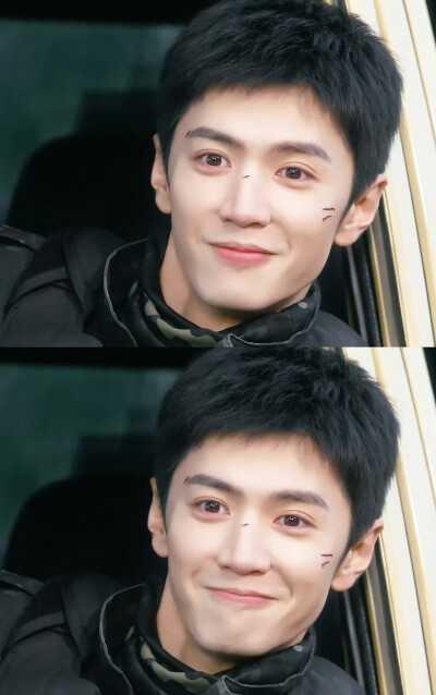 白色橄榄树
cr.@与山烬