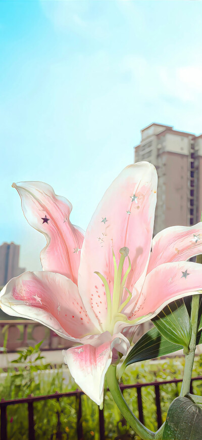 壁纸