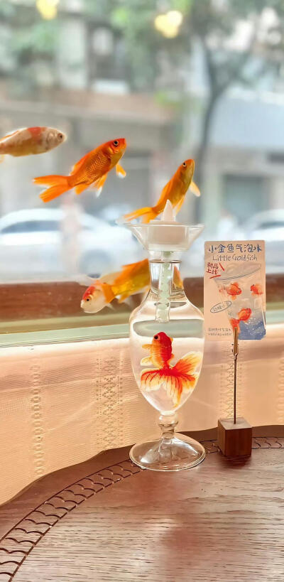 可可爱爱