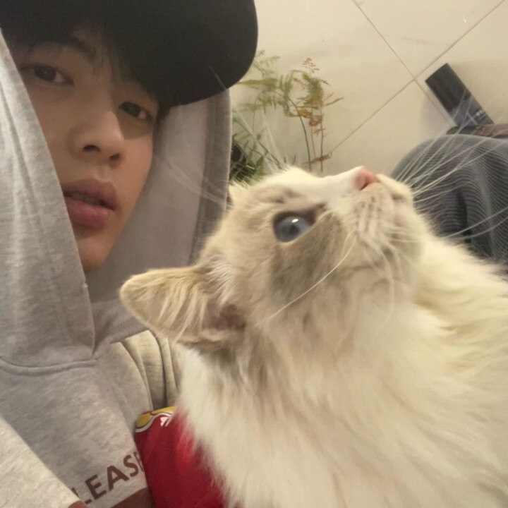 人与人之间是一场仓促的骤雨 很久以后还是划在玻璃上的雨痕