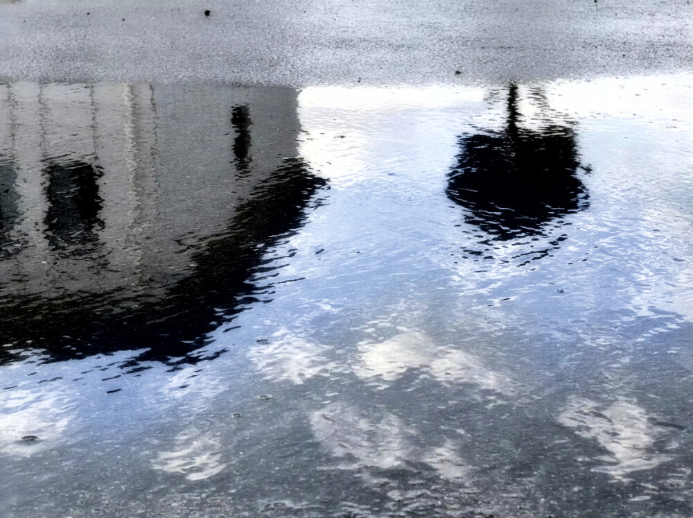 ''추운 겨울-雪芽梅子季（Spring is coming...）