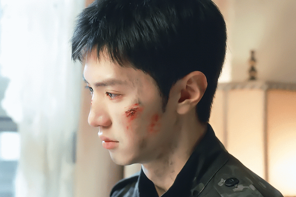 白色橄榄树
cr.@与山烬