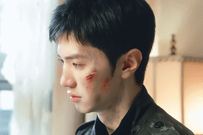 白色橄榄树
cr.@与山烬