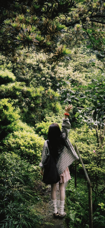 章若楠