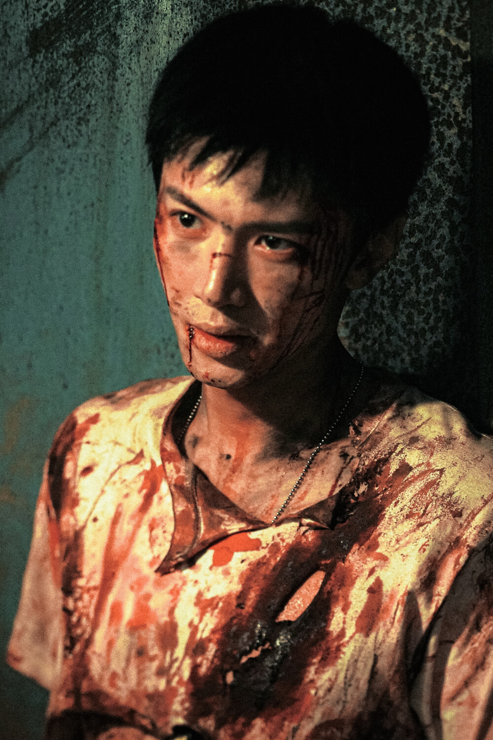 白色橄榄树
cr.@与山烬