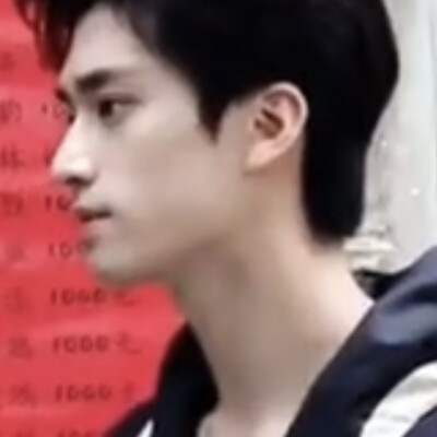 家树