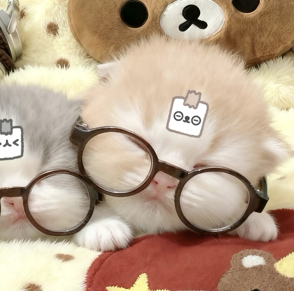 好无聊，可是好幸福