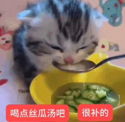 表情包