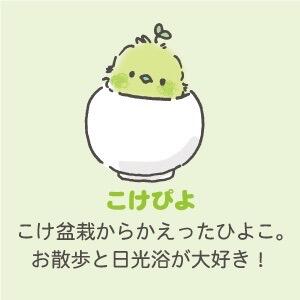 苔啾啾
