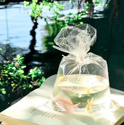 你我的缘 仓促的像一场骤雨