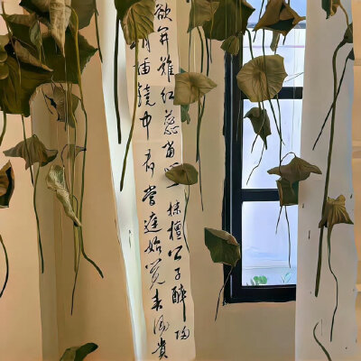 包上恩可二改