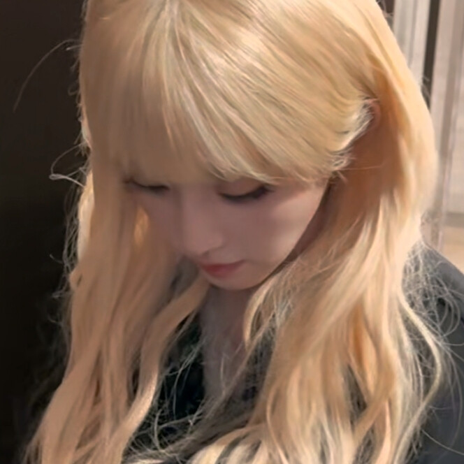 这有一只金发猫