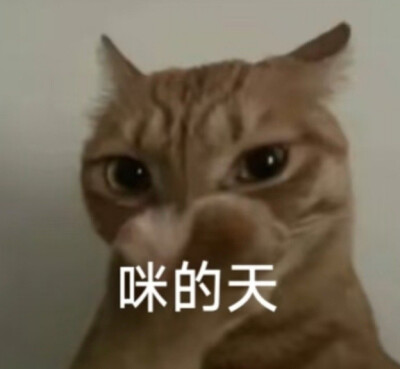 表情包