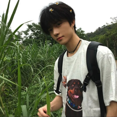 男头