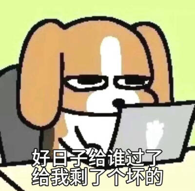 表情包