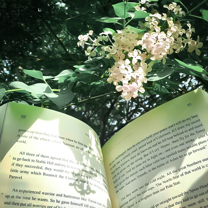 你我的缘 仓促的像一场骤雨