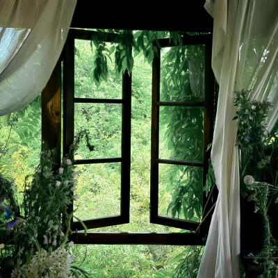 你我的缘 仓促的像一场骤雨