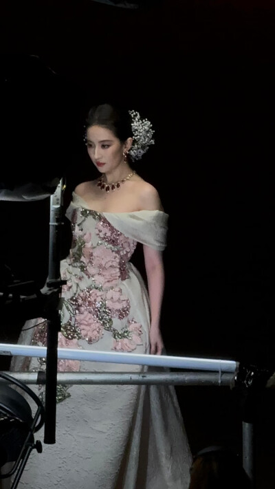 刘亦菲