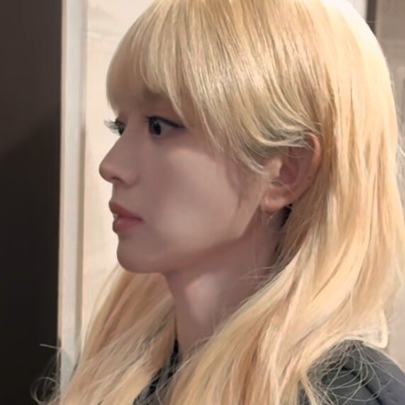 这有一只金发猫