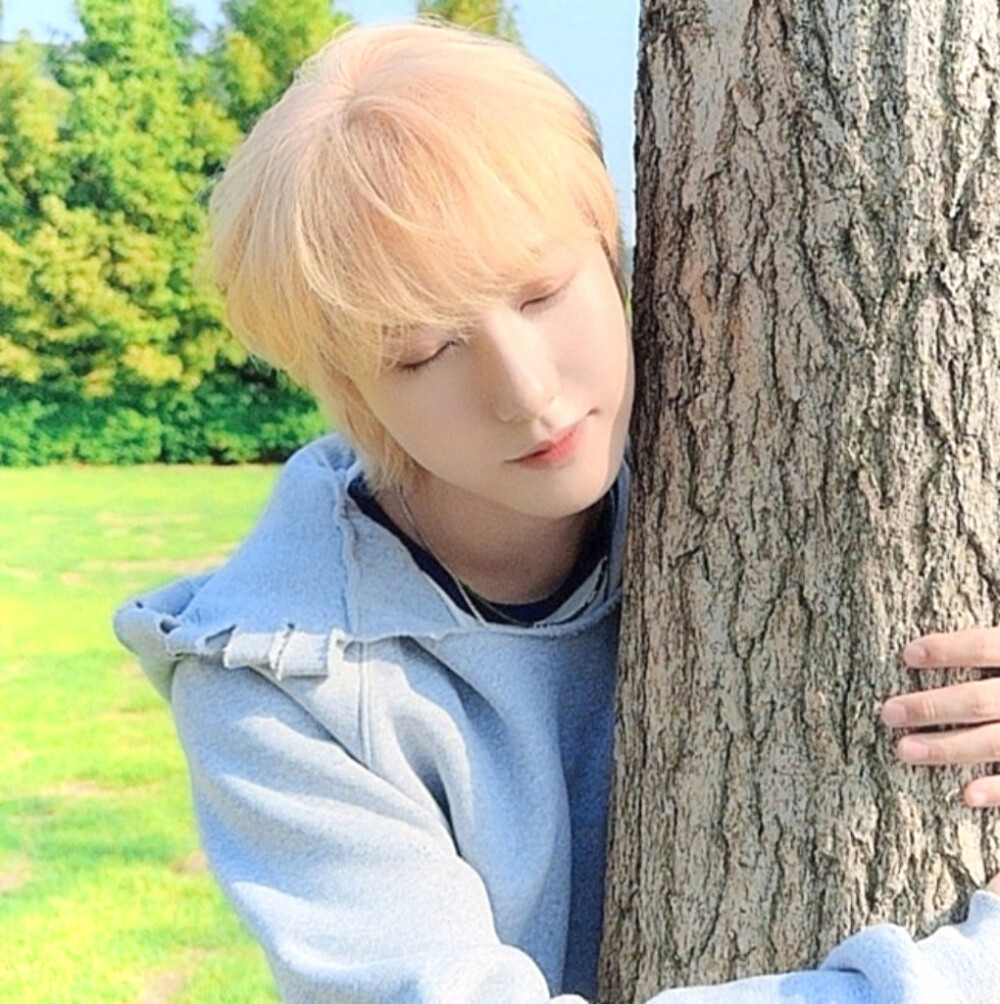 我是行走在江湖喵喵侠，在一个夜黑风高夜晚发现了一名在街游荡的孤独人类，于是决定退隐江湖以后，任务就是让他不再孤独