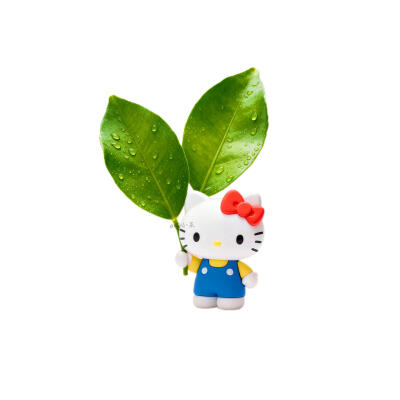 HelloKitty柚子叶头像