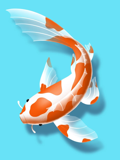 壁纸/锦鲤/年年有余