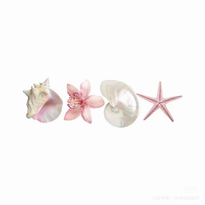 app素材小图标 ♥