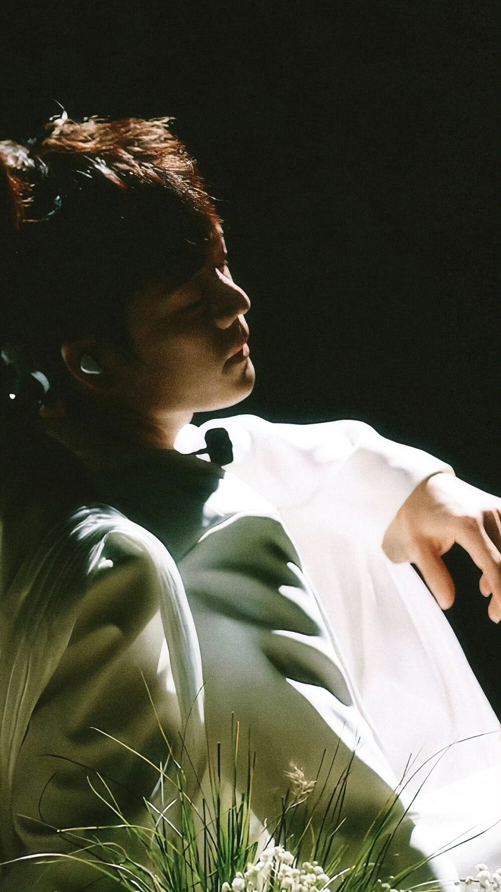 王栎鑫 披荆斩棘